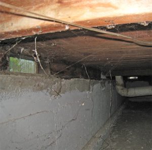 basement crawl space