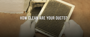 Dirty Ducts and Vents