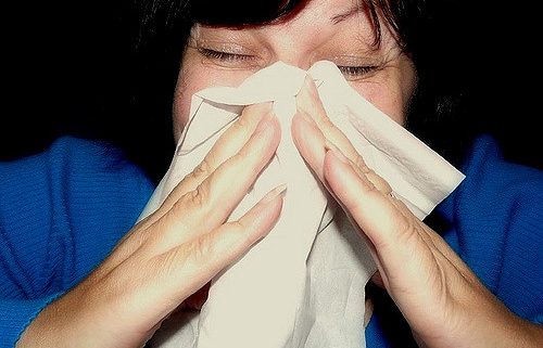 sneezing due to allergies