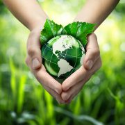 eco-friendly hands holding the earth