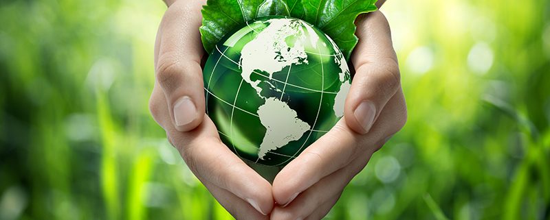 eco-friendly hands holding the earth
