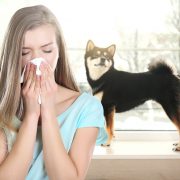 woman suffering from indoor allergies