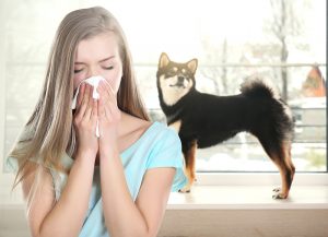 woman suffering from indoor allergies