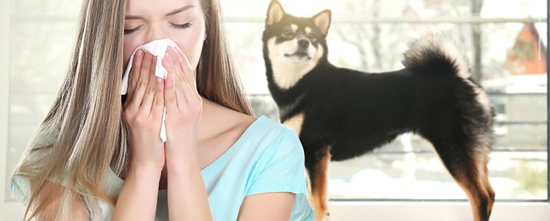 woman suffering from indoor allergies