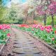 spring flowers